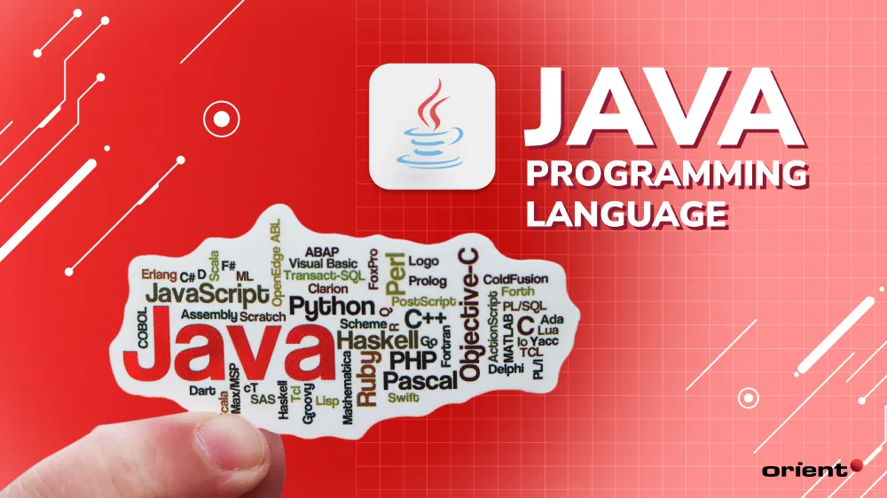 What Can You Do With Java?